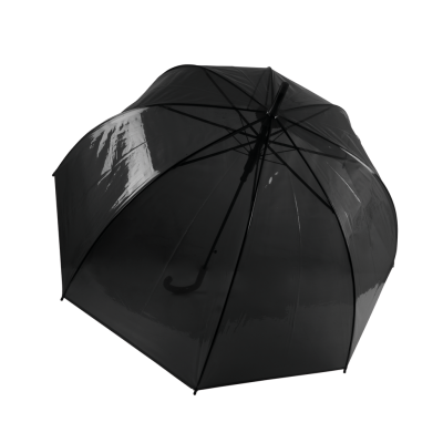 Transparent umbrella